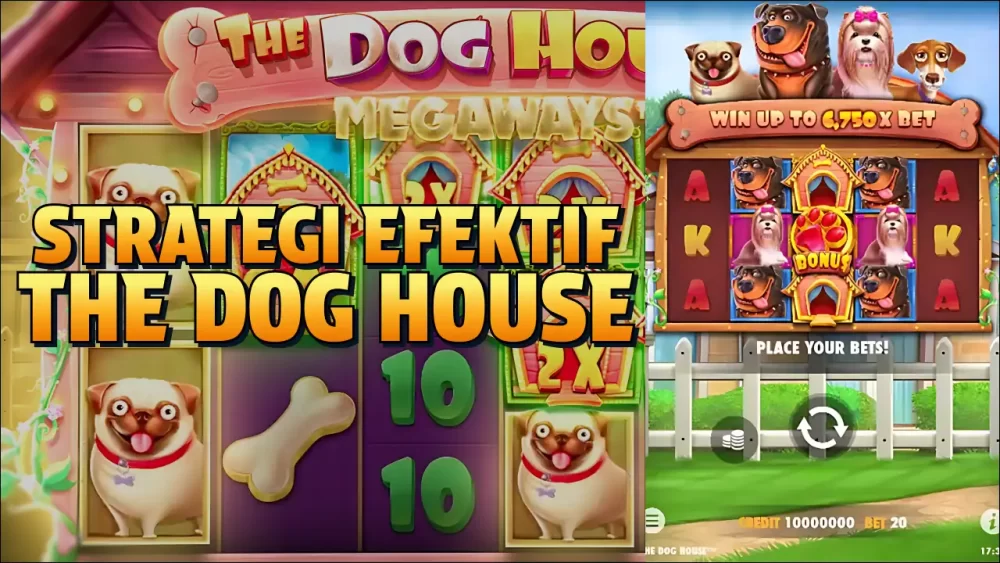 strategi efektif the dog house
